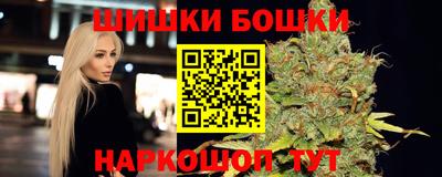СК Обь