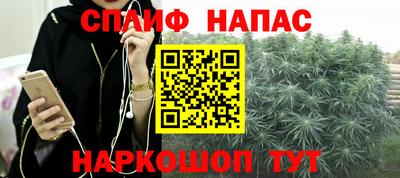 СК Обь