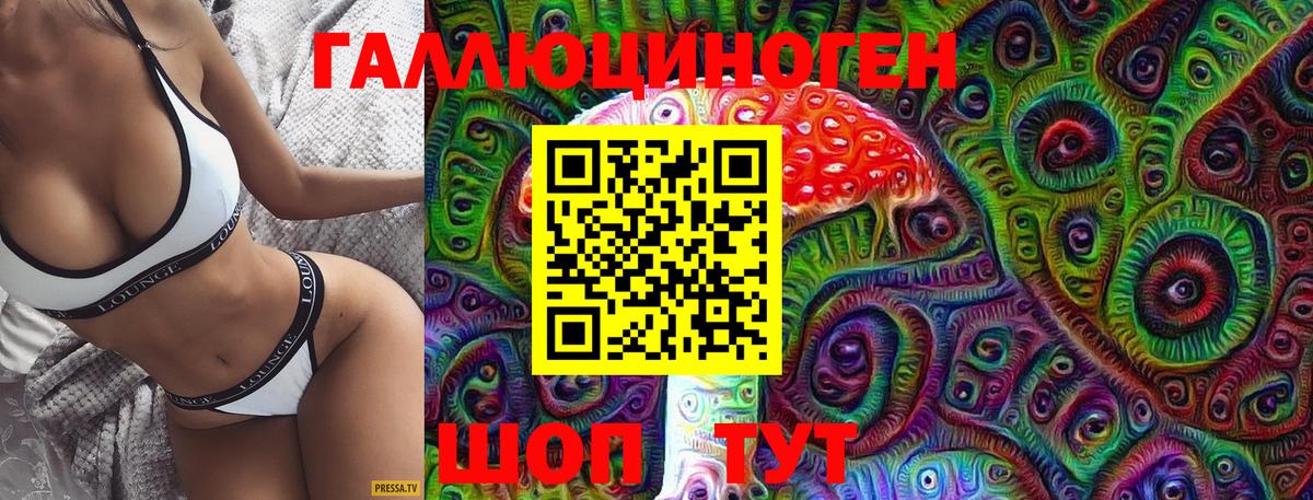 Псилоцибиновые грибы мицелий Сунжа