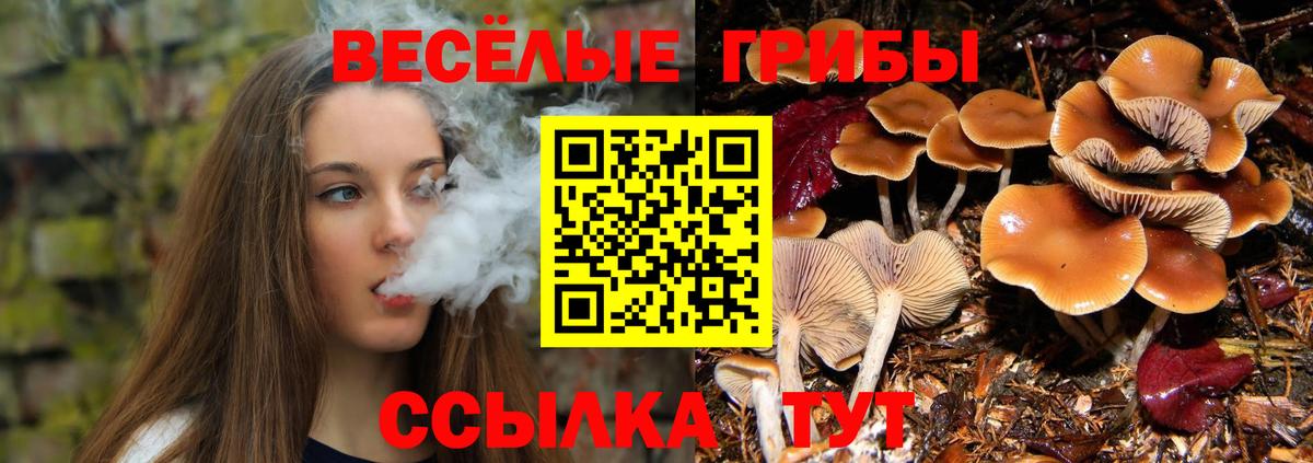 Сунжа  Галлюциногенные грибы GOLDEN TEACHER  Вход с VPN 