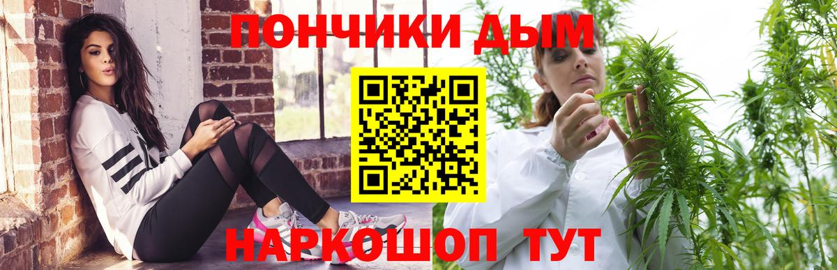 Шишки марихуана марихуана Сунжа